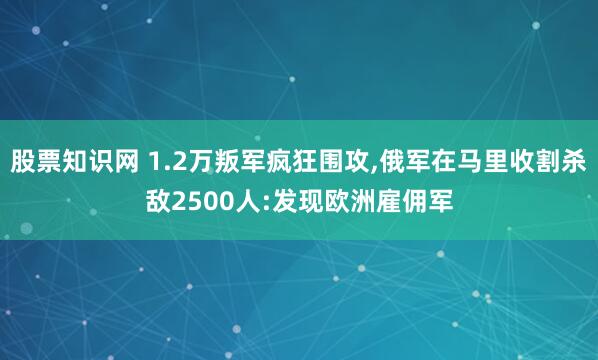 股票知识网 1.2万叛军疯狂围攻,俄军在马里收割杀敌2500人:发现欧洲雇佣军